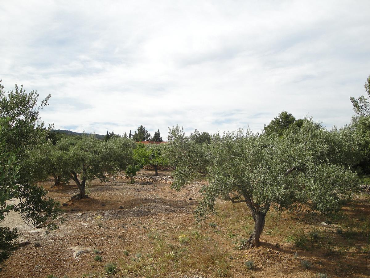 Holiday Home El Rinconcito By Interhome L'Ampolla Buitenkant foto